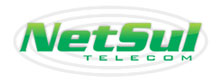 NetSul Telecom - Foto 1