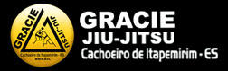 Gracie Jiu Jitsu - Foto 1