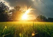 previsão do tempo Espírito Santo