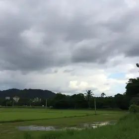 Cachoeiro de Itapemirim