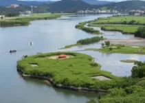 Vigilância Ambiental