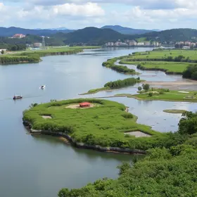 Vigilância Ambiental