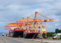 DP World assume operação de armazém da Suzano no ES