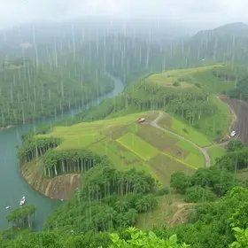 Cachoeiro de Itapemirim