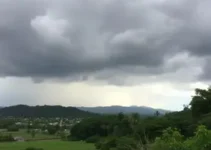 Cachoeiro de Itapemirim