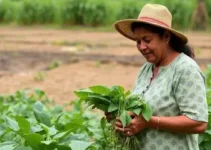 insegurança alimentar