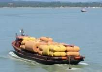 Cachoeiro de Itapemirim