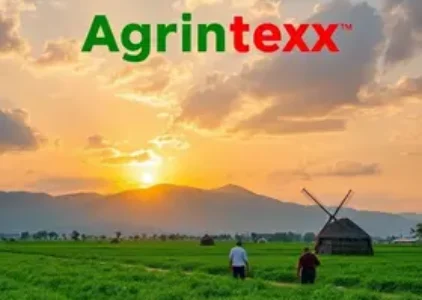 Últimas noticias de Itapemirim