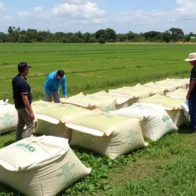 entrega de ensacadoras de silagem