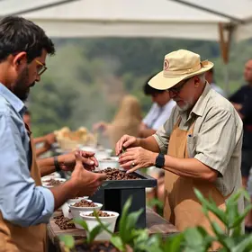 concurso de cafés