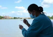 vacinação