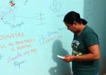 Assistência Social
